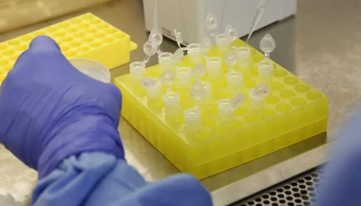 País não dá sinais de desaceleração